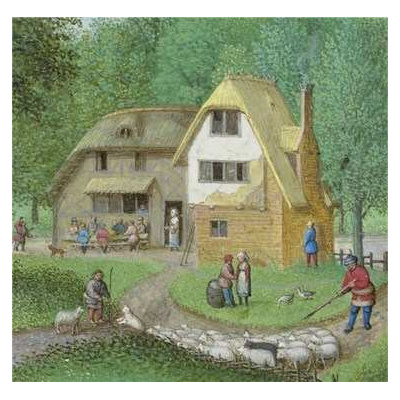 illustration